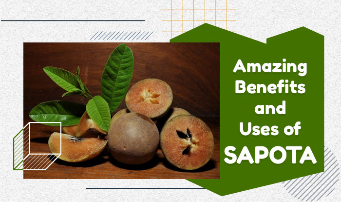 Amazing Benefits and Uses Of Sapota
