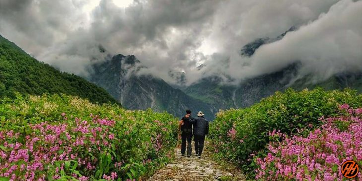 Valley-of-flowers