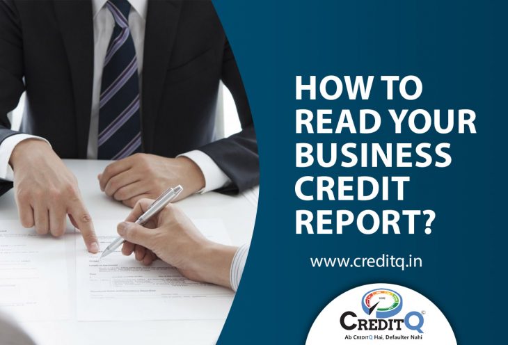 Business Credit Report